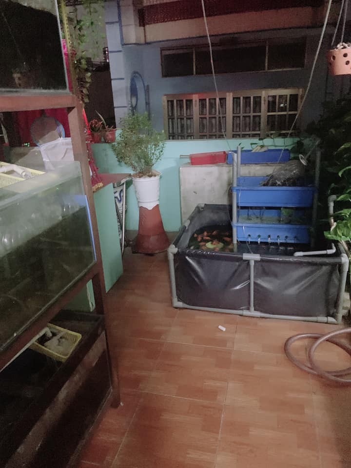 BÁN NHÀ BÙI VIỆN QUẬN 1 38M2 2 LẦU 9,5 TỶ