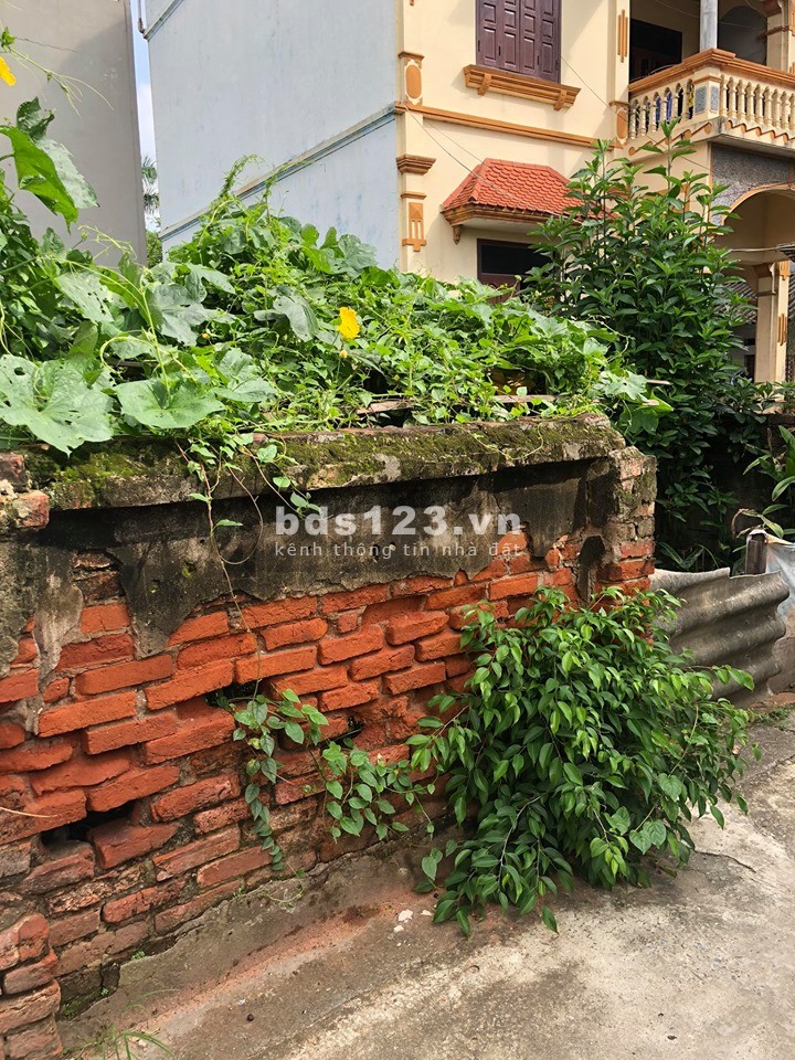 Bán đất Kiên Thành Trâu Quỳ dt 80m2 Rẻ nhất chỉ 30.5tr/m2. LH 0982852808