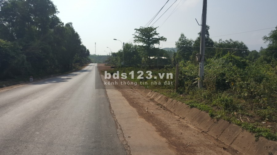 Đất Sơn Thành Tây mặt tiền ql 29 cách ubnd xã 70m