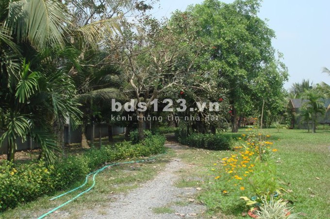 Bán1200m2 Đất Giá Siêu RẺ tại Dầu Tiếng, Bình Dương
