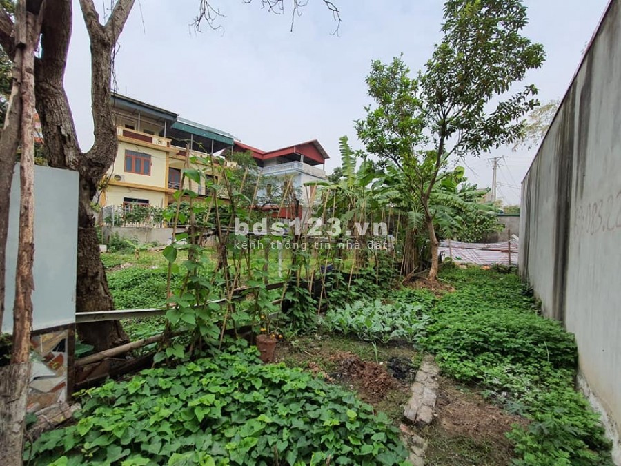 Hiếm: Đất Phúc Lợi 2 mặt tiền, khu vực thông thoáng, 58m2 chỉ 1,95 tỷ
