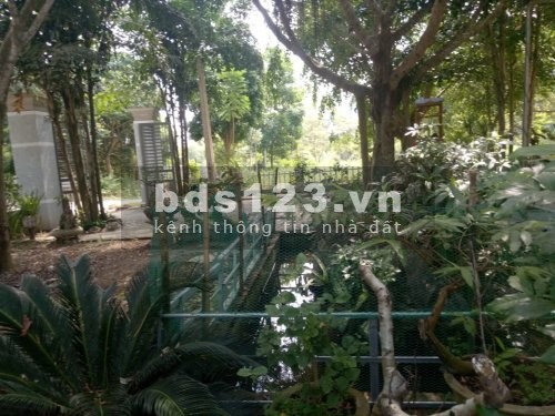 Bán1200m2 Đất Giá Siêu RẺ tại Dầu Tiếng, Bình Dương