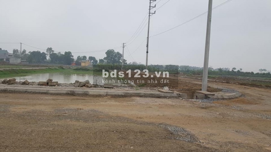 Vì tập trung làm dự án mới nên công ty bds AnVy