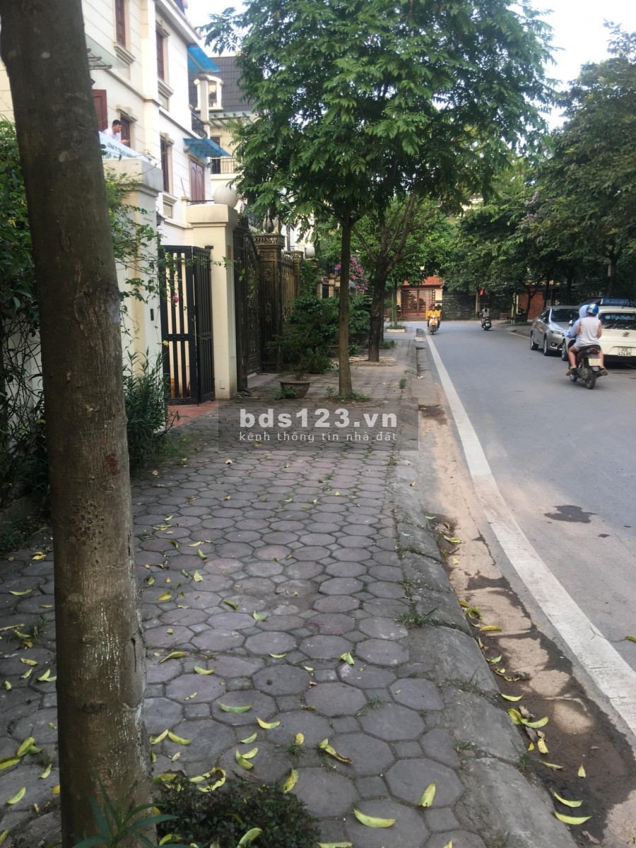 Biệt Thự Tây Nam Linh Đàm 281m, 4 Tầng, MT 7M, Giá 21 Tỷ