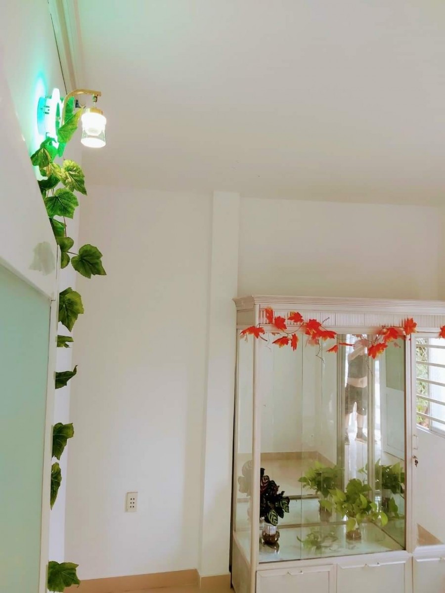 Nhà mặt tiền, Phường 4, Quận Tân Bình, mới đẹp, kinh doanh tốt, 2 tầng, 4,6 tỷ