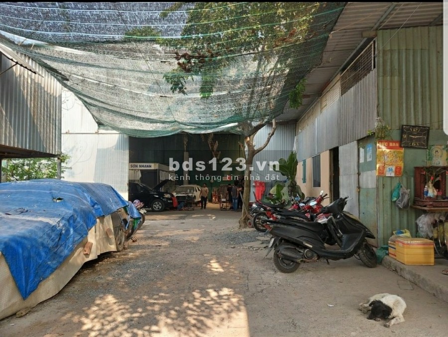 Kho, Nhà xưởng 350m2 giá 20tr đường Nguyễn Hữu Thọ