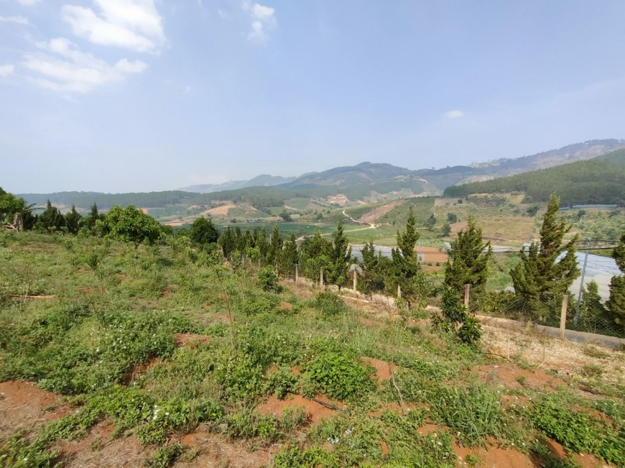 Đất view tuyệt đẹp để nghỉ dưỡng tại Đà Lạt, Giá F0 đầu tư
