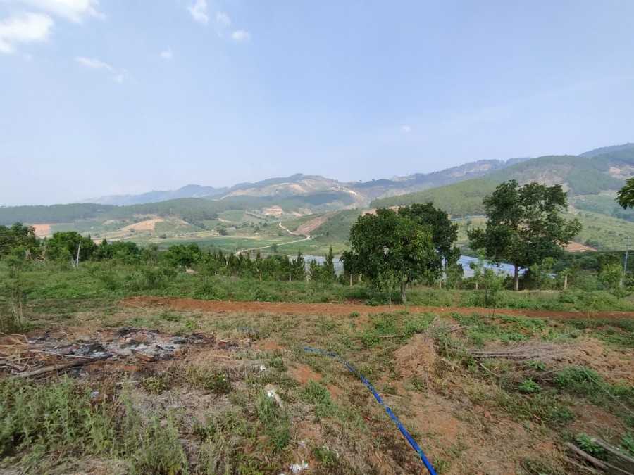 Đất view tuyệt đẹp để nghỉ dưỡng tại Đà Lạt, Giá F0 đầu tư