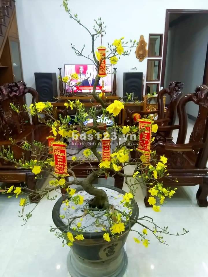 Chính chủ bán nhà cấp 4 gác lửng, 107,5m2, Quảng Nam