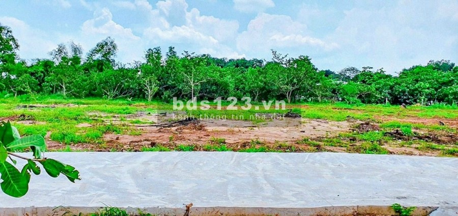 Chính chủ cần bán gấp lô đất vườn Long Thành 1000, 4m2 cạnh 2 trường ĐH Ngân Hàng và ĐH Y Dược cơ sở 2