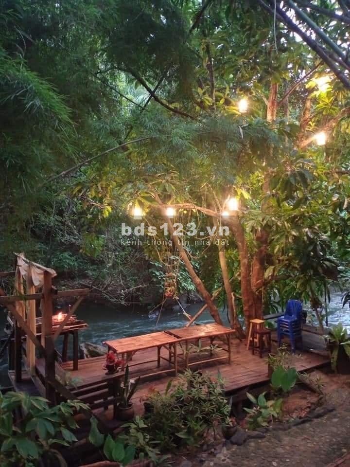 ĐẤT 1000M2 GIÁ 550 TRIỆU GIÁP SUỐI ĐỊNH AN DẦU TIẾNG BÌNH DƯƠNG GIÁ RẺ