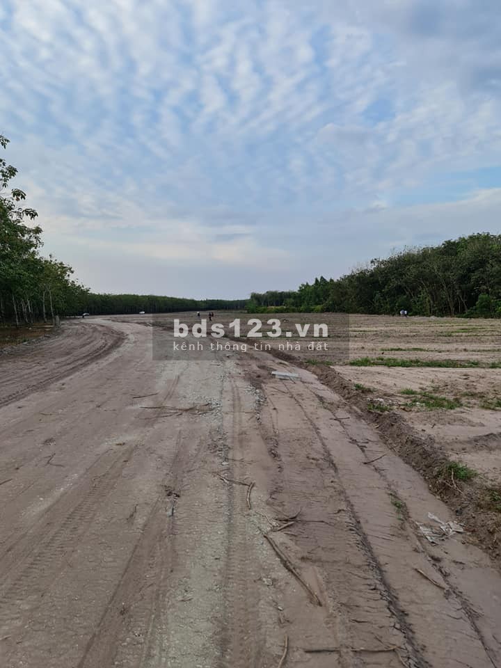 Bán 1100m2 Đất Giá Rẻ Tại Dầu Tiếng - Bình Dương