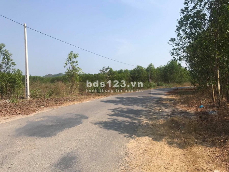 Bán đất cây lâu năm 2 mặt tiền rộng 7.000m2 thôn 5 xã Diên Đồng