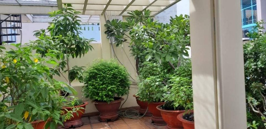Park Về Hàn Quốc Bán gấp nhà HXH8M, Phú Thọ Hòa, Phường Phú Thọ Hòa, Quận Tân Phú, vào 30m, 70m2, 5PN, Chỉ 4 tỷ 9