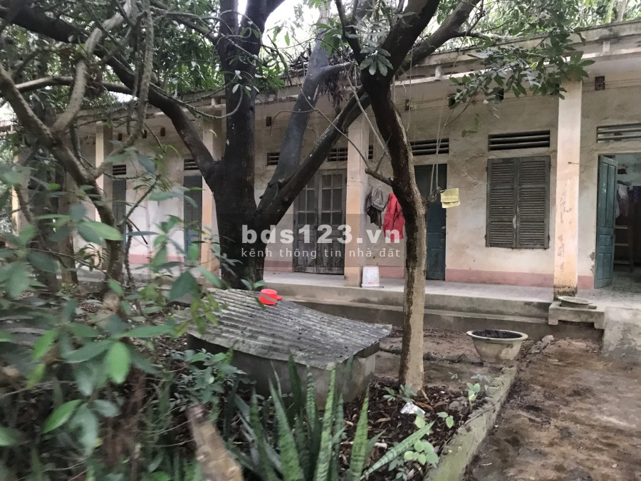 CHO THUÊ NHÀ XƯỞNG, KHO BÃI TẠI PHƯỜNG LAM SƠN THỊ XÃ BỈM SƠN