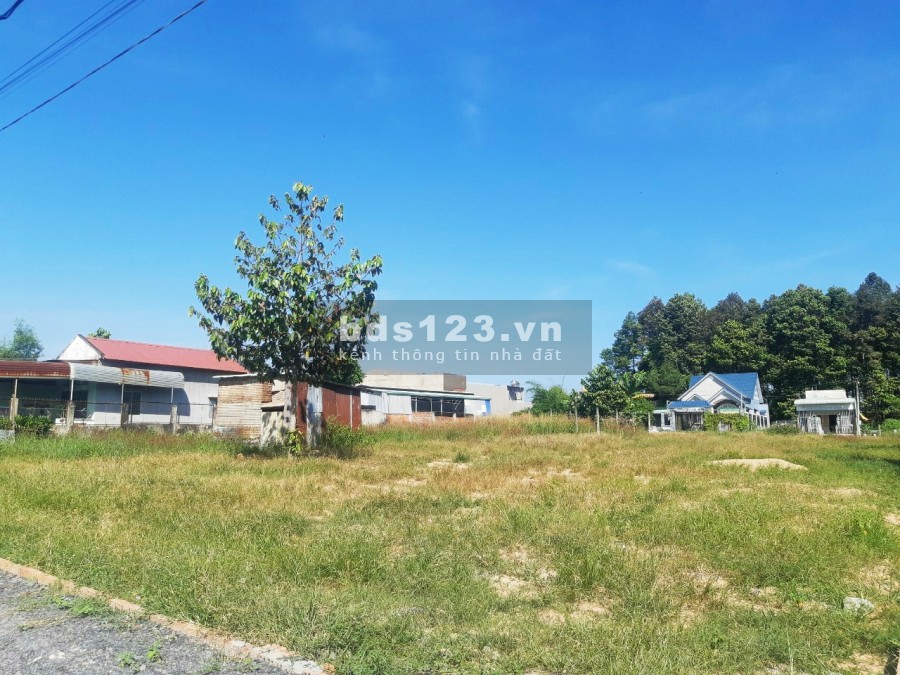 Chủ đất làm Yến bị vỡ nợ cần bấn gấp lô đất Long Thành 2117m2, sổ hồng riêng có 300m2 thổ