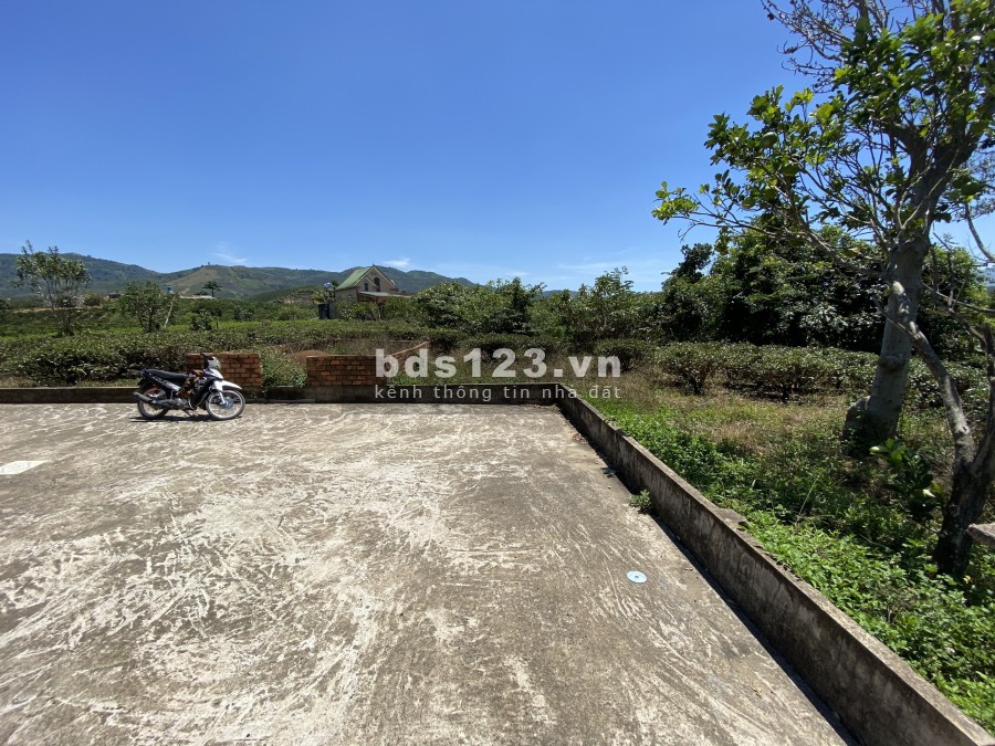 Bán đất suối bao quanh thôn 11 Xã Đại Lào tp Bảo Lộc