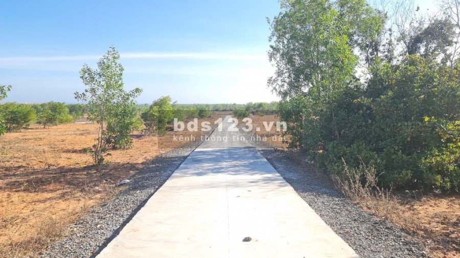 Đất sân bay Phan Thiết Thiện Nghiệp Quá rẻ 1,6 tỷ- 1.098 m2