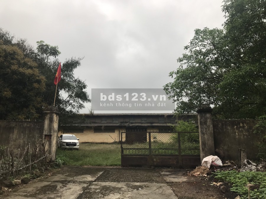 CHO THUÊ NHÀ XƯỞNG, KHO BÃI TẠI PHƯỜNG LAM SƠN THỊ XÃ BỈM SƠN