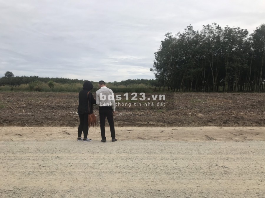 Bán GẤP đất ấp 1 Nha Bích Chơn Thành 1018m2 - 590tr
