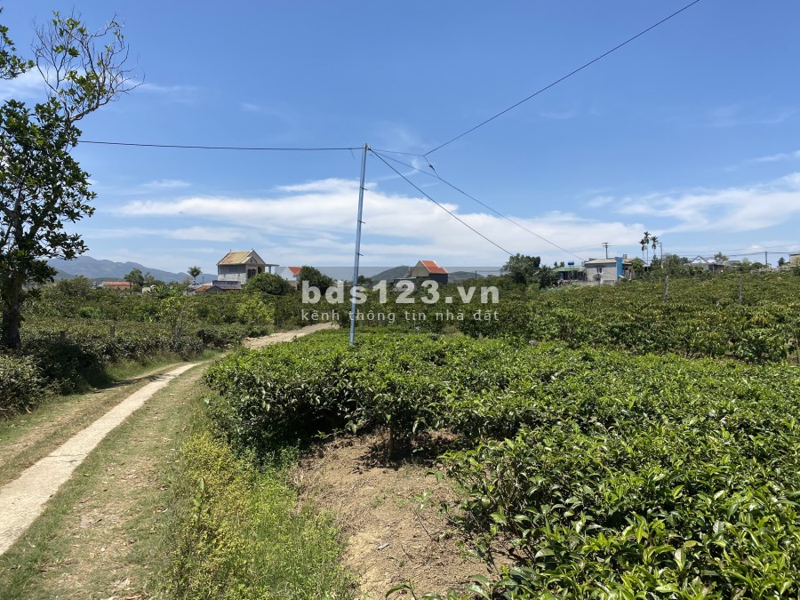 Bán đất suối bao quanh thôn 11 Xã Đại Lào tp Bảo Lộc