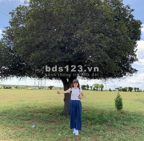 Bán đất nông nghiệp Bình Thuận cơ hội hay rủi ro