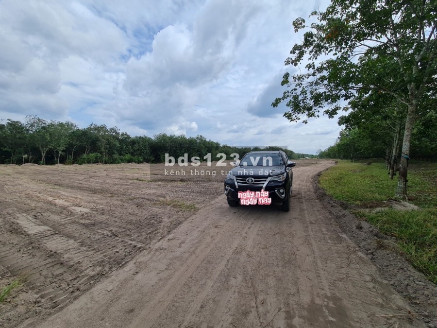 ĐẤT 1000M2 GIÁ 550 TRIỆU GIÁP SUỐI ĐỊNH AN DẦU TIẾNG BÌNH DƯƠNG GIÁ RẺ