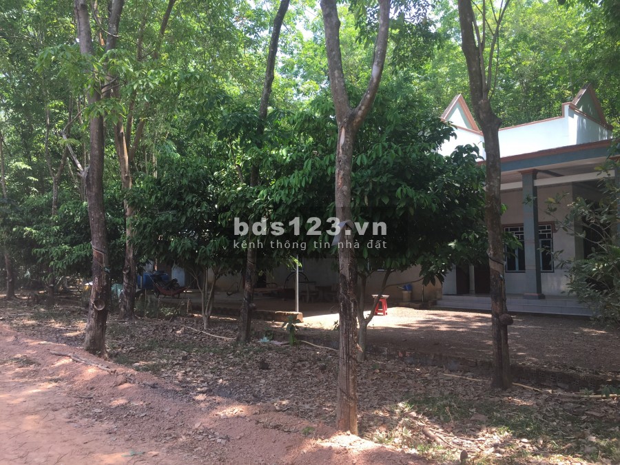 Cần tiền xoay vốn làm ăn bán gấp đất thành phố Đồng Xoài 1054m2 giá 320tr