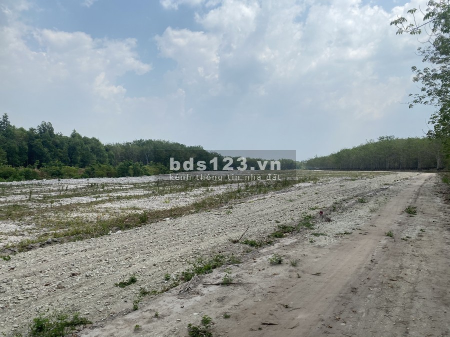 ĐẤT 1000M2 GIÁ 550 TRIỆU GIÁP SUỐI ĐỊNH AN DẦU TIẾNG BÌNH DƯƠNG GIÁ RẺ