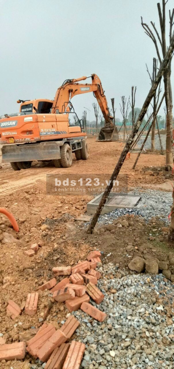 DANKO CITY SỨC SỐNG MÃNH LIỆT - KIẾT TÁC HÙNG MẠNH