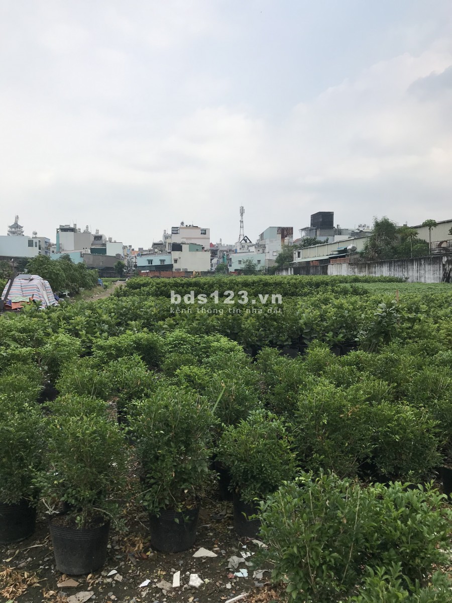 Cho thuê đất 2400m2- 9000m2 MT An Phú Đông 9 Quận 12 gần Nhà hàng