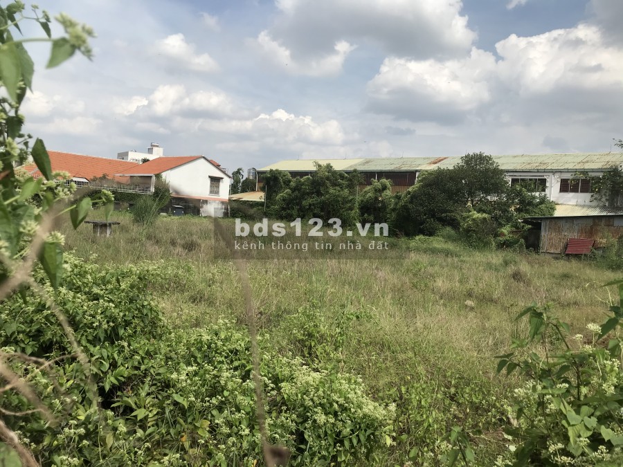 Cho thuê đất 2400m2- 9000m2 MT An Phú Đông 9 Quận 12 gần Nhà hàng