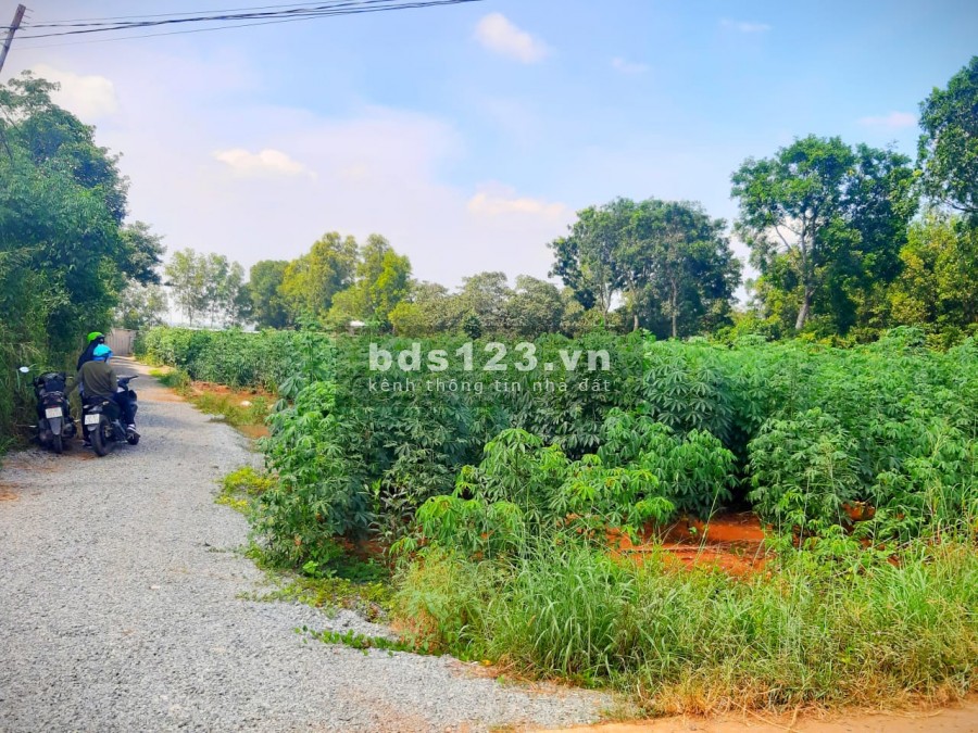 Cần vốn cần bán mặt tiền khu dân cư Phước Bình, đường đang mở rộng 32m kết nối sân bay Long Thành