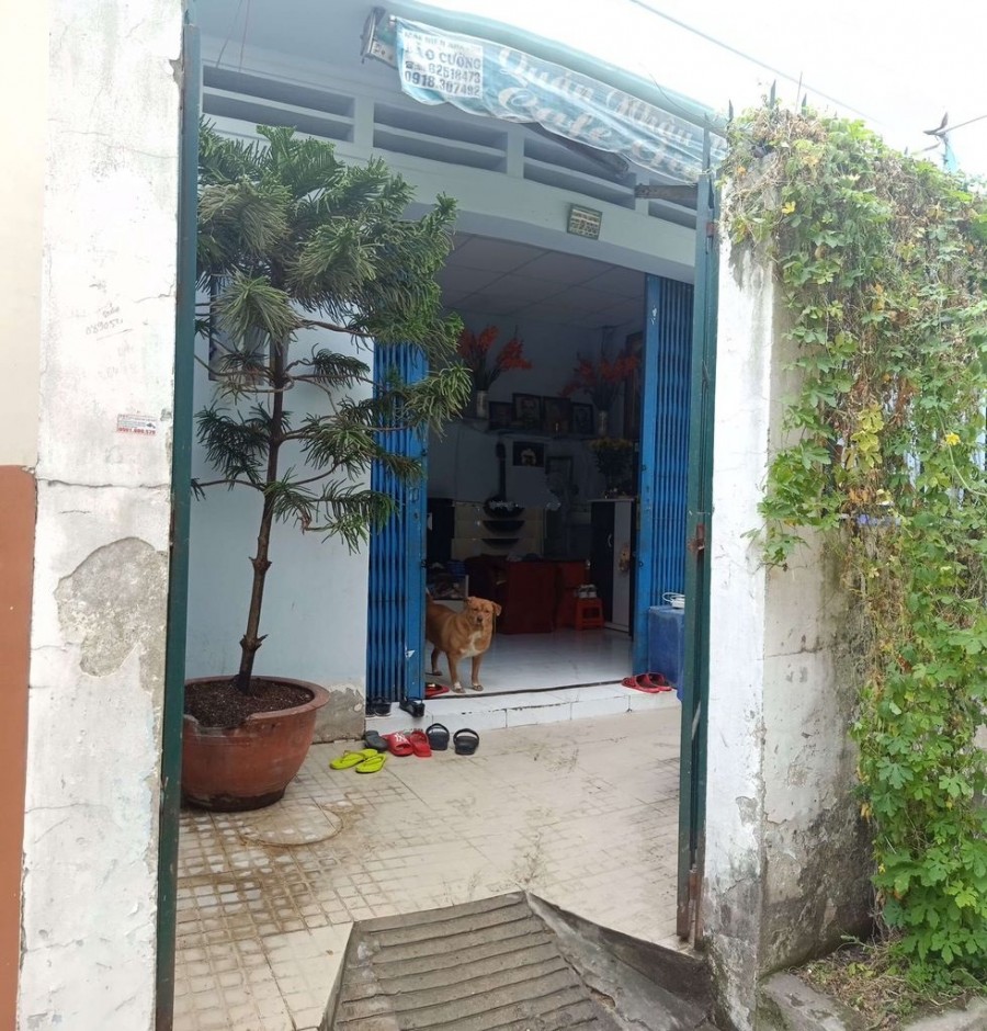 Bán nhà CHÍNH CHỦ HXH 194 Bùi Đình Túy p12 – 5x14m
