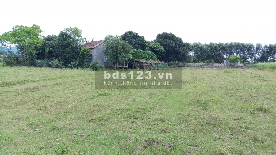 Cho thuê đất 2000 m2 làm nhà kho, nhà xưởng.