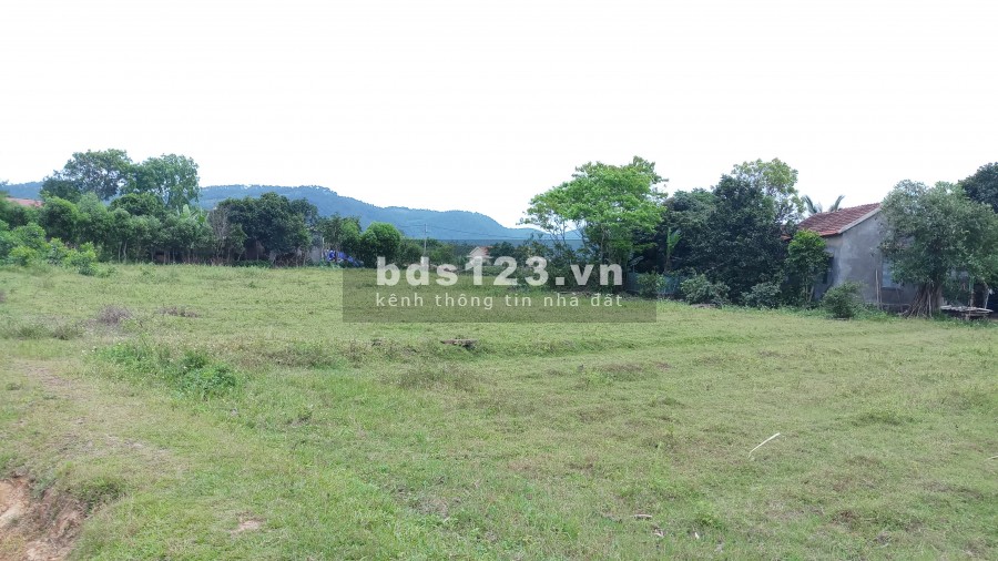 Cho thuê đất 2000 m2 làm nhà kho, nhà xưởng.
