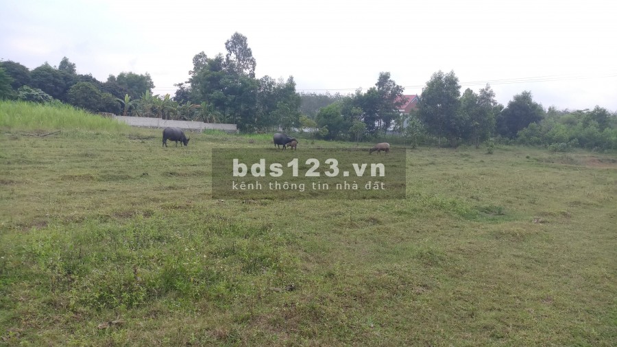 Cho thuê đất 2000 m2 làm nhà kho, nhà xưởng.
