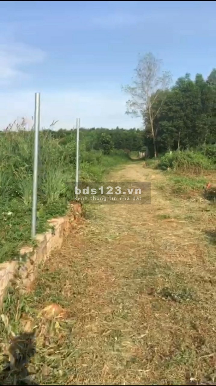 Kẹt tiền bán đất 6x42 số đỏ trao tay tại Võ Thị Sáu Huyện Đất Đỏ Bà Rịa