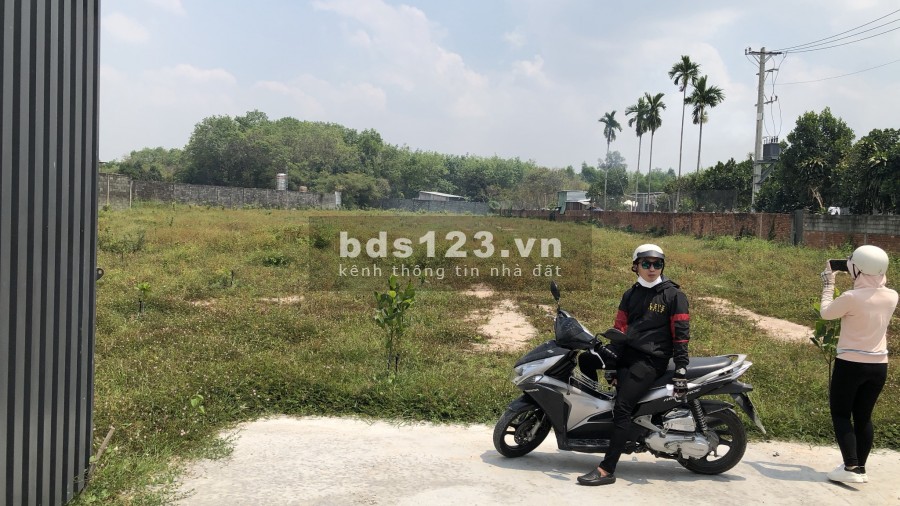 BÁN GẤP LÔ ĐẤT 6.013M(53X141M), ĐƯỜNG NHỰA 25M DÂN CƯ KHÁ ĐÔNG, SÁT CHỢ, TRƯỜNG HỌC