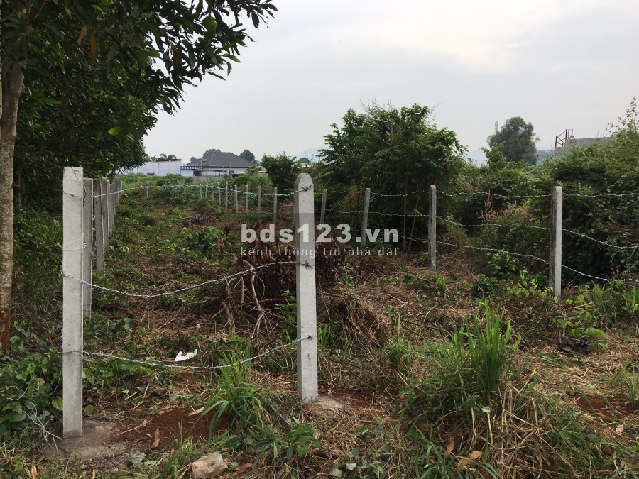 Kẹt tiền bán đất 6x42 số đỏ trao tay tại Võ Thị Sáu Huyện Đất Đỏ Bà Rịa