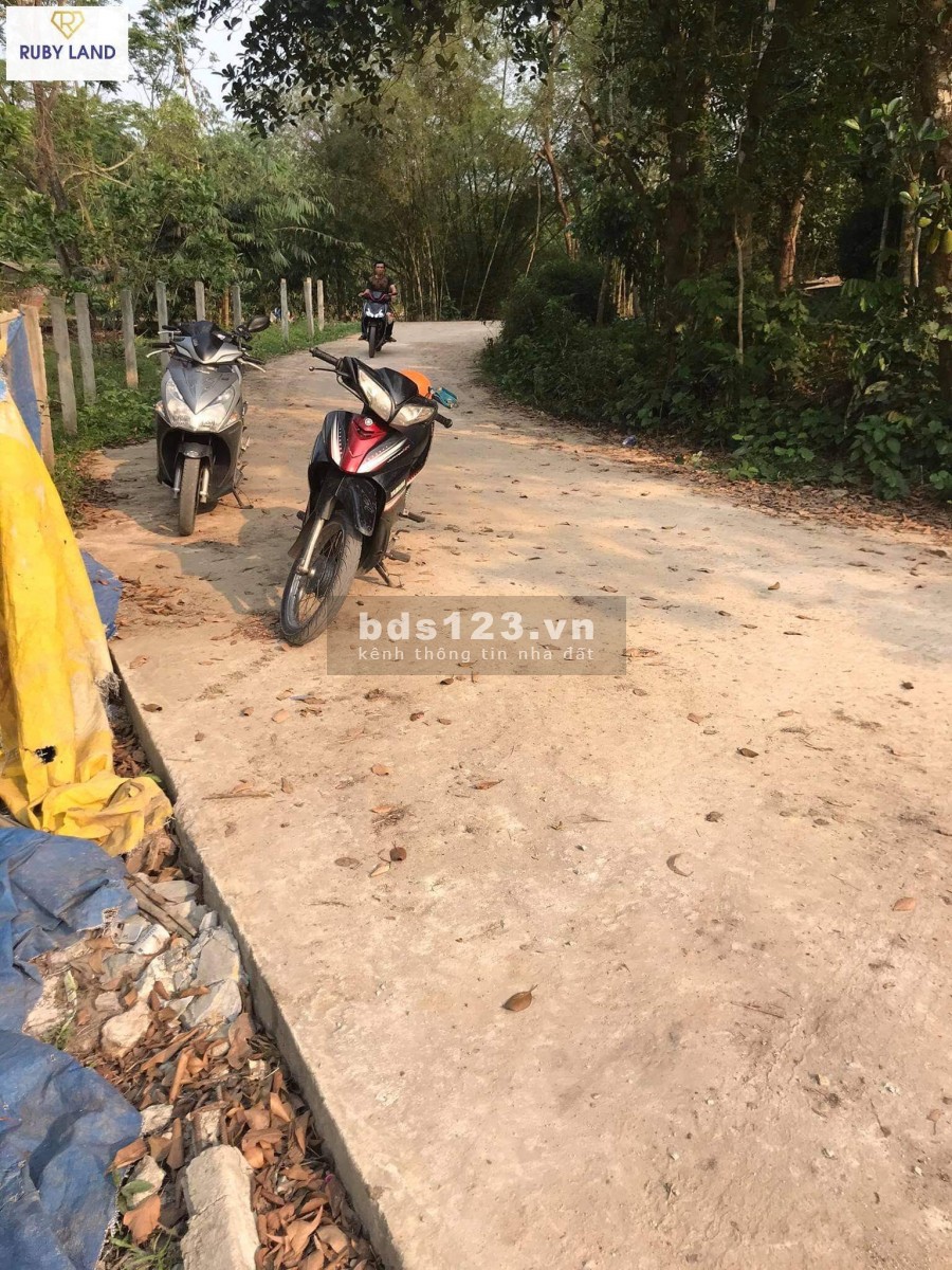 Đất Kiệt oto Dạ Lê Thủy Phương Giá Chỉ 5,x tr/m