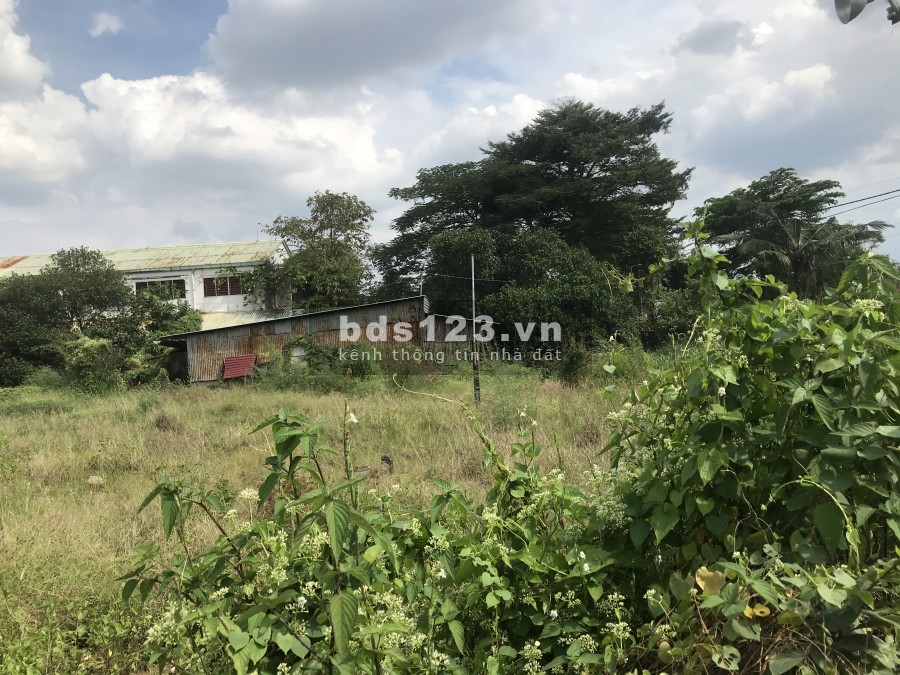Cho thuê đất 2400m2- 9000m2 MT An Phú Đông 9 Quận 12 gần Nhà hàng
