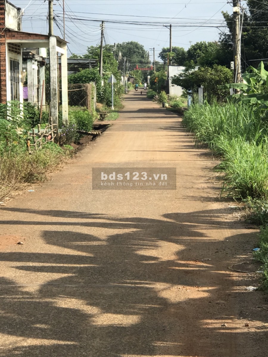 Thời điểm vàng đầu tư đất sân bay Long Thành, 3.5 sào đất Bàu Cạn giá 10 tỷ.