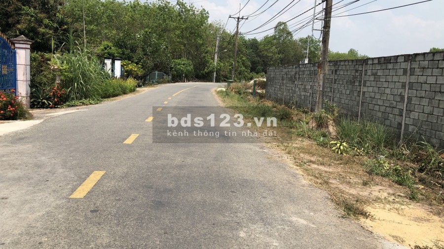 BÁN GẤP LÔ ĐẤT 6.013M(53X141M), ĐƯỜNG NHỰA 25M DÂN CƯ KHÁ ĐÔNG, SÁT CHỢ, TRƯỜNG HỌC