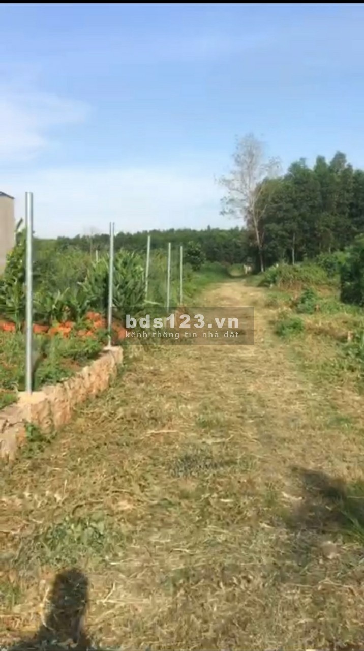 Kẹt tiền bán đất 6x42 số đỏ trao tay tại Võ Thị Sáu Huyện Đất Đỏ Bà Rịa