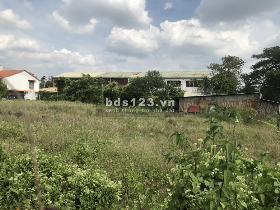 Cho thuê đất 2400m2- 9000m2 MT An Phú Đông 9 Quận 12 gần Nhà hàng