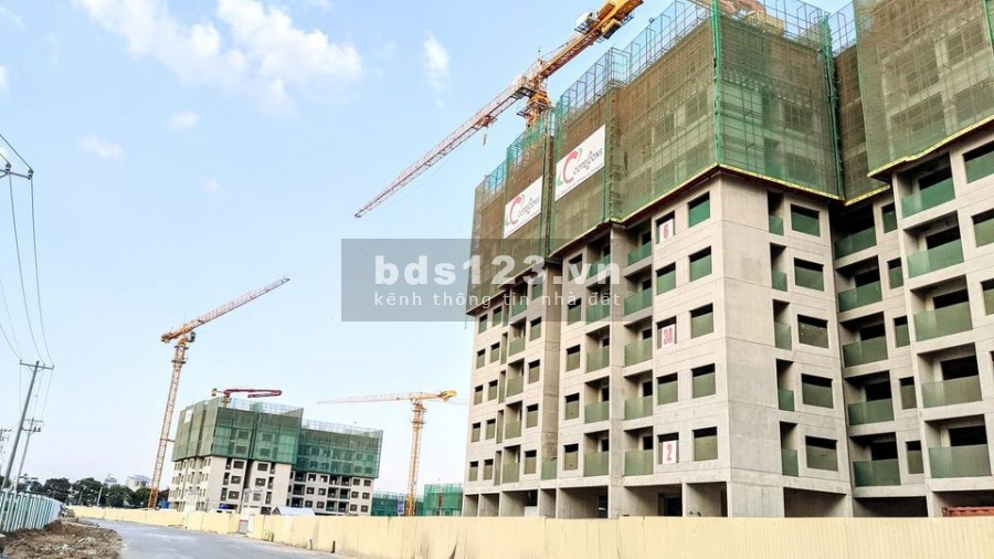 GIỎ HÀNG CĂN HỘ VINHOMES ORIGAMI TRỰC TIẾP CHỦ ĐẦU TƯ, VAY 80% LÃI 0% TRONG 24 THÁNG, LH 0933883792