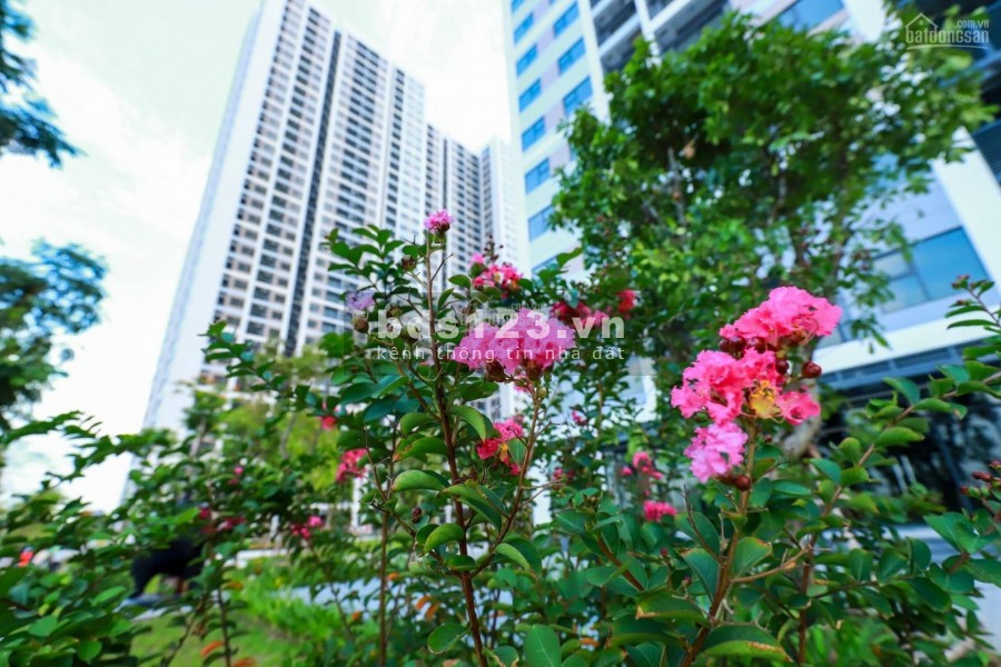 BÁN NHIỀU CĂN HỘ VINHOMES GRAND PARK .STUDIO 33M2