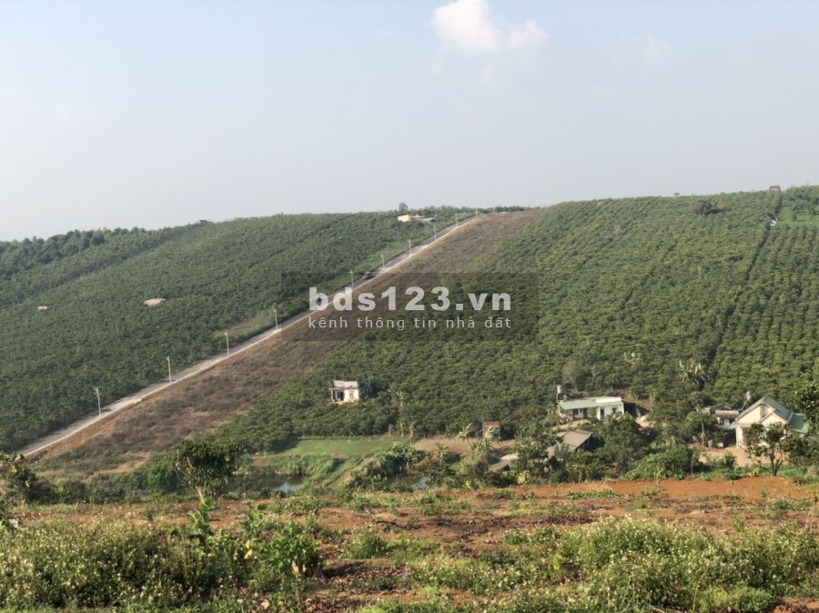 Cần bán gấp 2 sào đất thổ cư nghỉ dưỡng view hồ tuyệt đẹp tại Bảo Lộc chỉ 2tr/m2