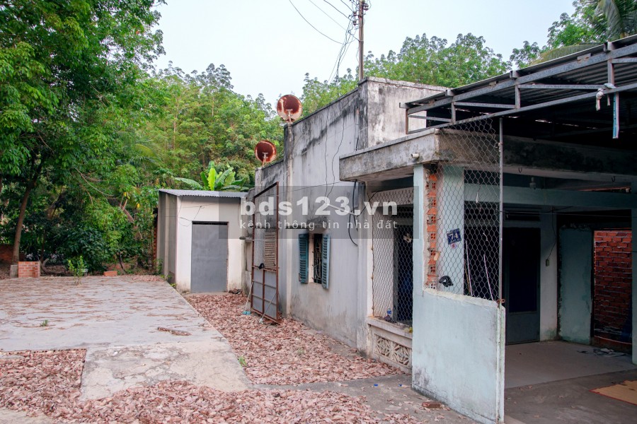 Bán đất Suối Dây-Tây Ninh DT 798.7m², thổ cư 200m²